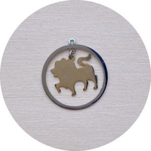 Zodiac Pendant - Leo